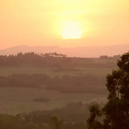 Lo Scoiattolo Paciano